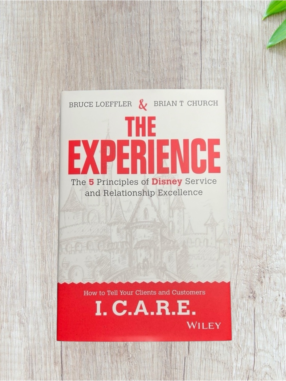 The Experience, Disney Textbook